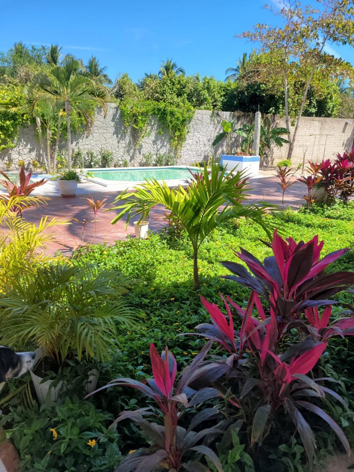 La Pucca Hotel Boutique Resort Penita de Jaltemba Exteriör bild